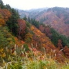 DSCF0525