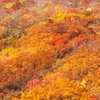 DSCF0547
