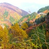 DSCF0544