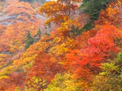 DSCF0549