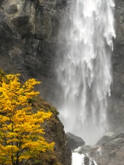 DSCF0510