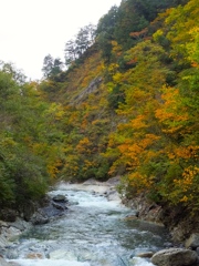 DSCF0478
