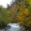 DSCF0478
