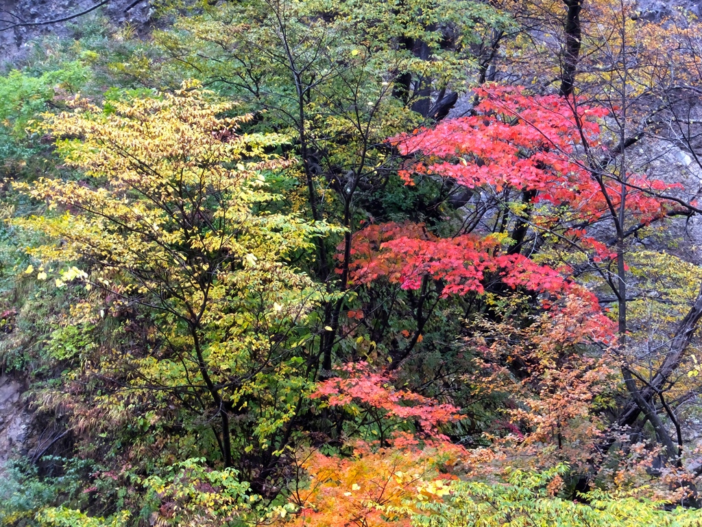 DSCF0509