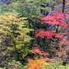 DSCF0509