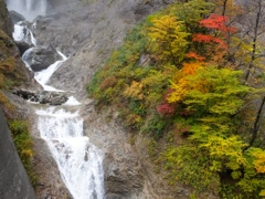 DSCF0516
