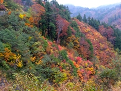 DSCF0529
