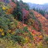 DSCF0529