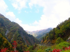 DSCF0470