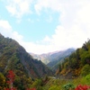 DSCF0470