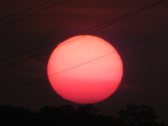 夕日の中の黒点