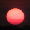 夕日の中の黒点