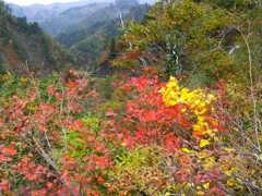 DSCF0499