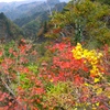 DSCF0499