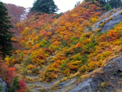 DSCF0527