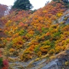 DSCF0527