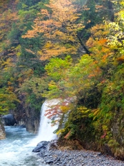 DSCF0479