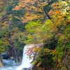 DSCF0479