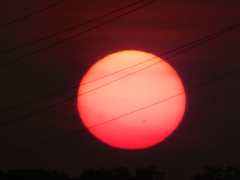 夕日の中の黒点
