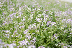 P1070496