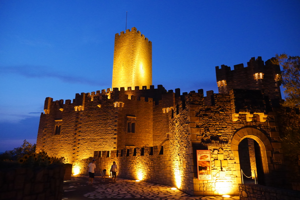 夜の城