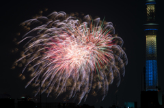 今年は晴れ