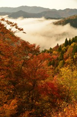 紅に染まる