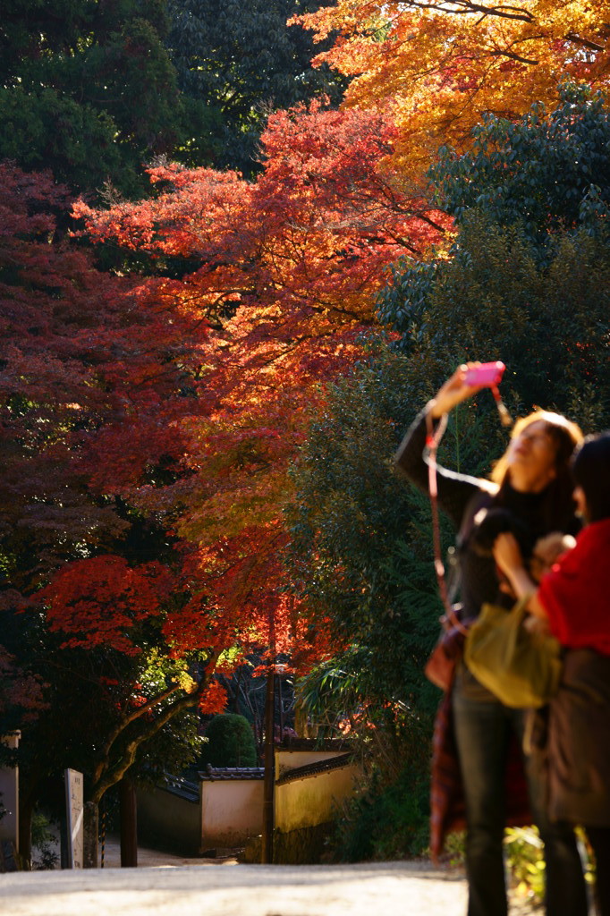 書寫山圓教寺