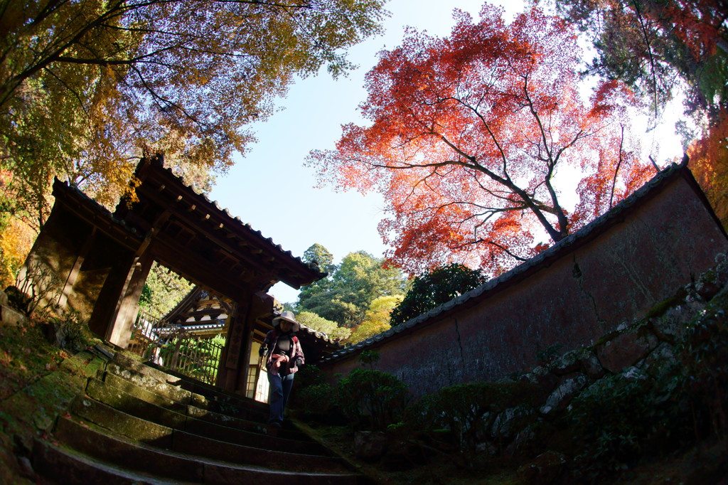 書寫山圓教寺