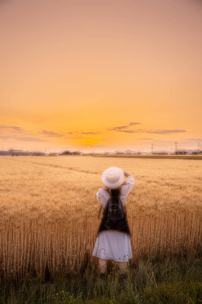 あの子と麦畑