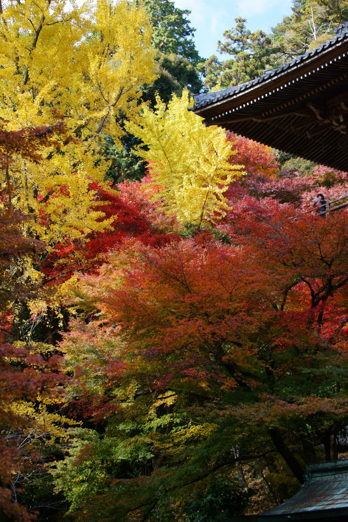 書寫山圓教寺