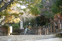 書寫山圓教寺　紅葉まつり　激写会