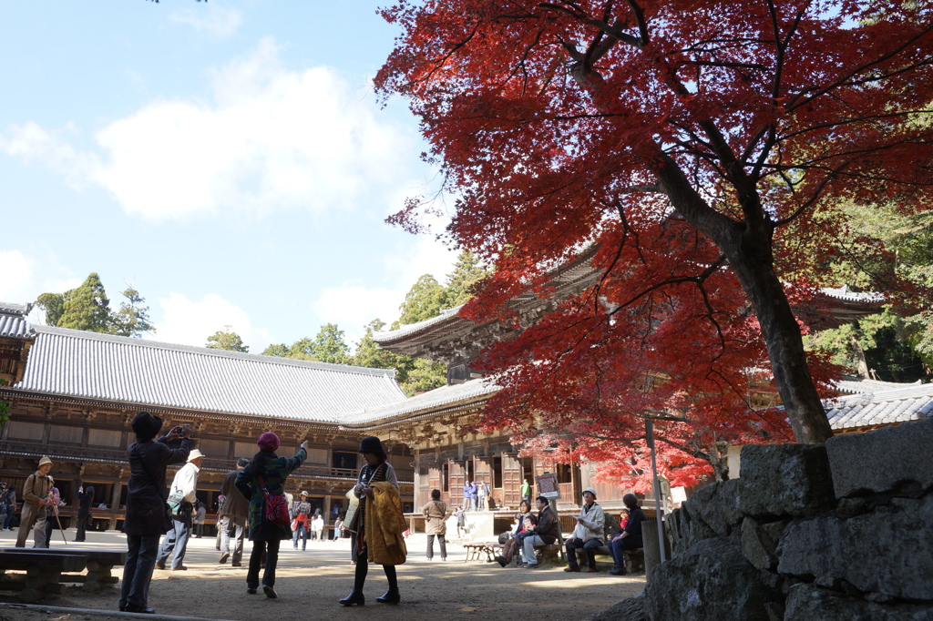 書寫山圓教寺