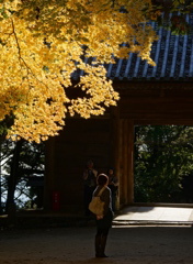 書寫山圓教寺