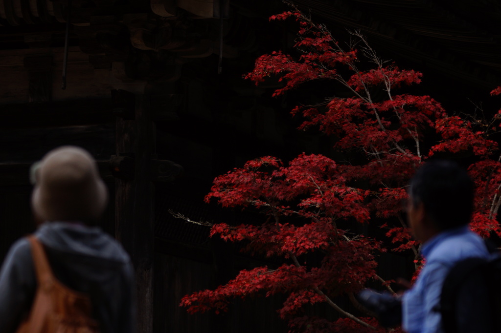 書写山円教寺