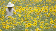あの夏の日