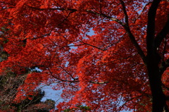 書寫山圓教寺