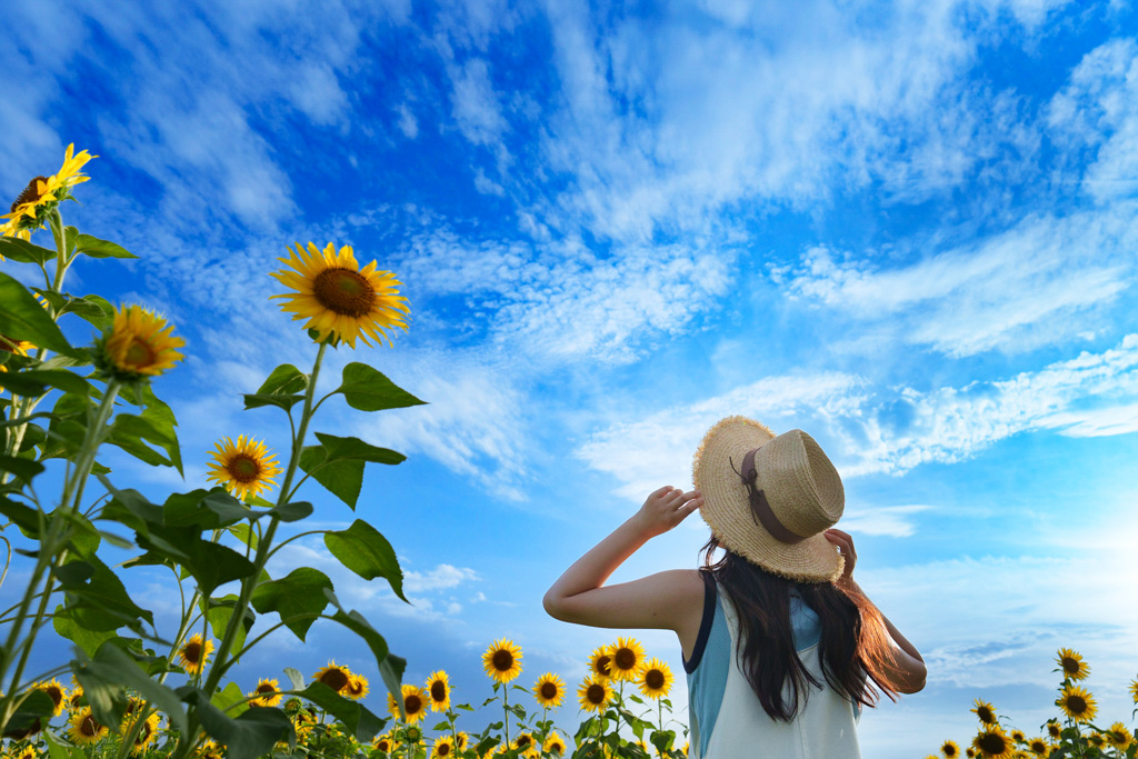 あの夏の日　　