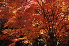 書寫山圓教寺