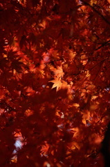 書寫山圓教寺　