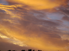 燃える空