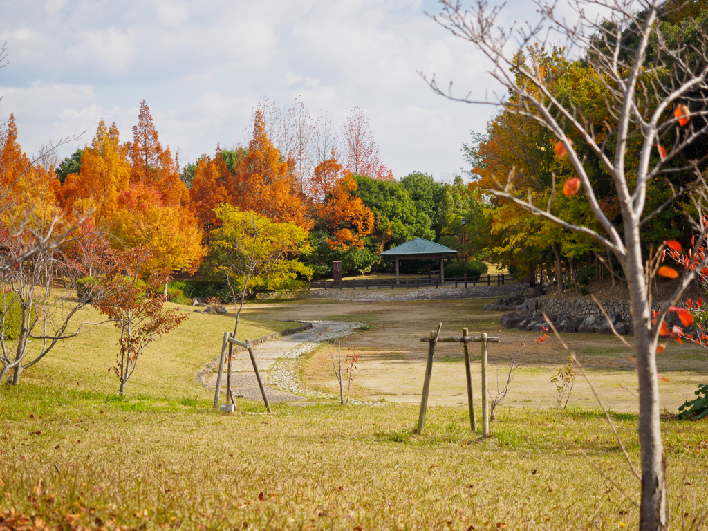次は桜の頃に・・・