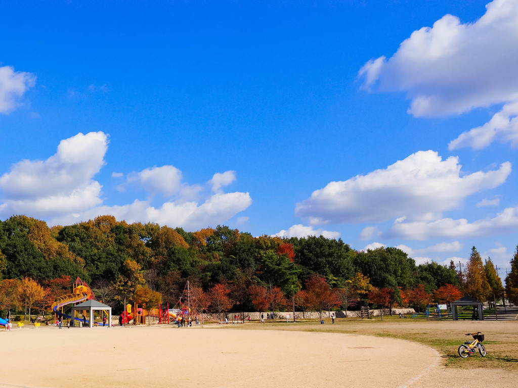 きれいな青空のもと公園にて