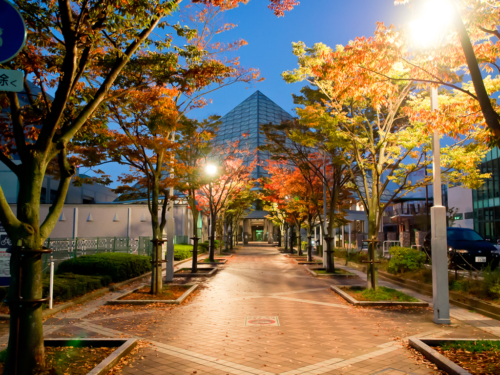 夜明け前の紅葉