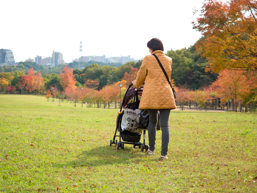 近所の公園にて紅葉散歩