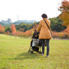 近所の公園にて紅葉散歩