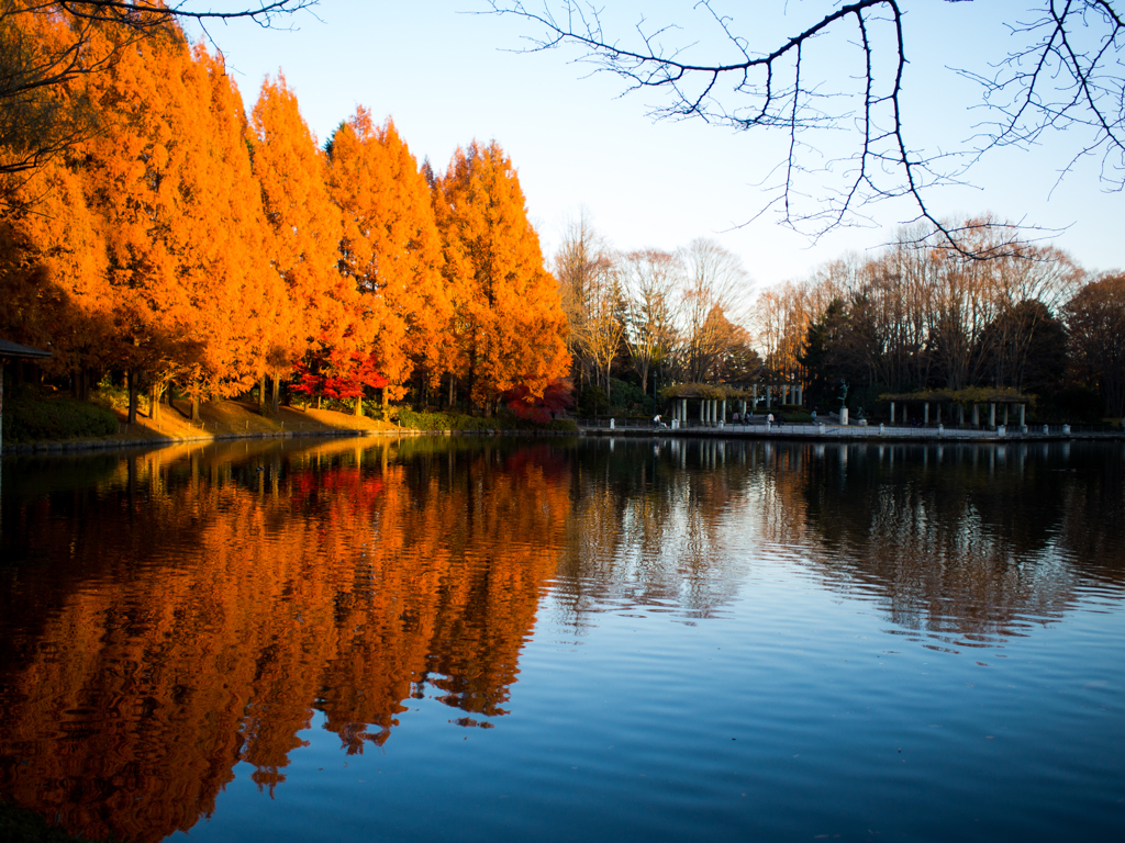 栃木県中央公園