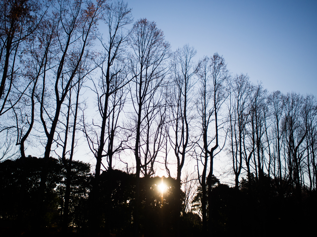 栃木県中央公園