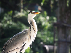 多摩動物公園