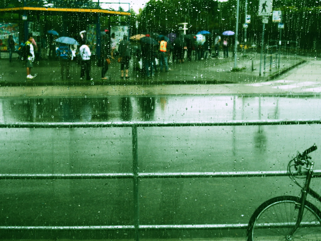 雨の中